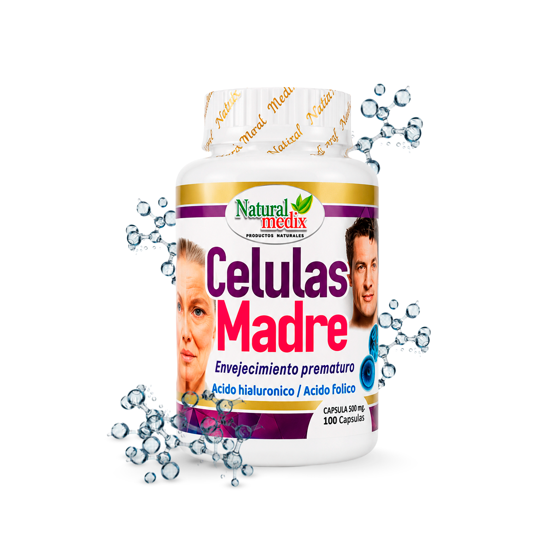 CELULAS MADRE