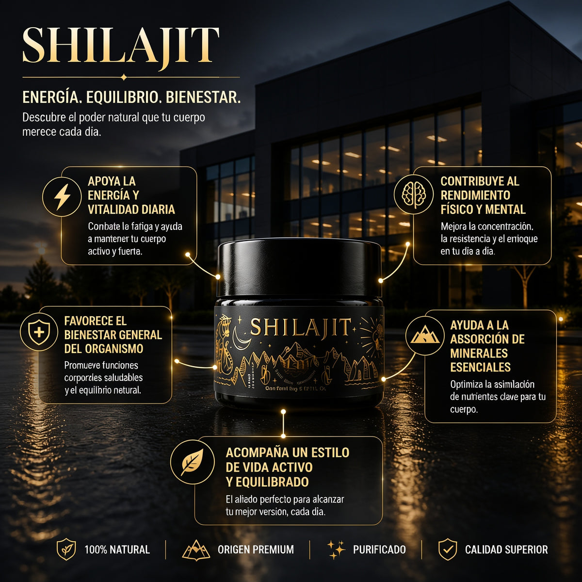 SHILAJIT 60 GR JALEA