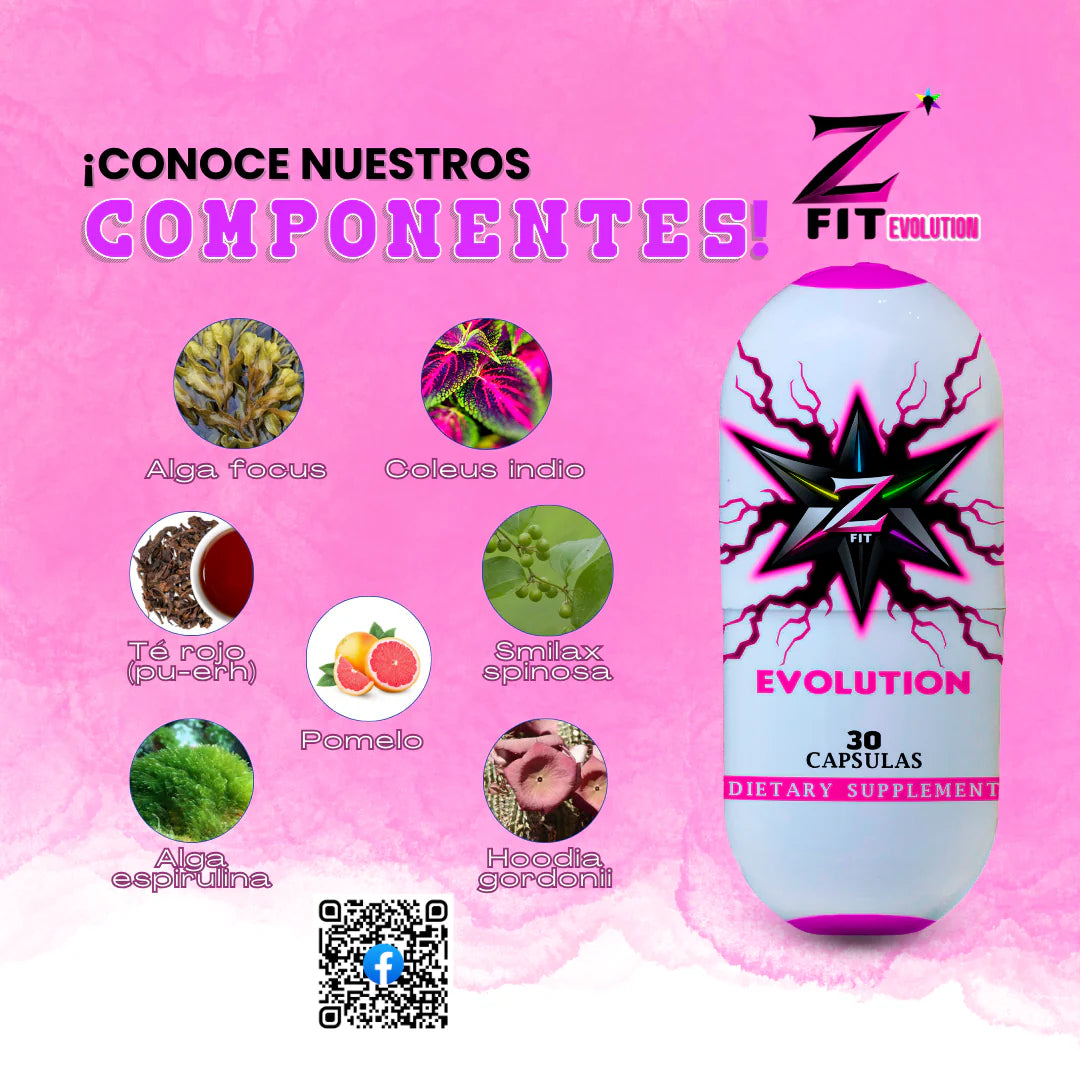 ZFIT EVOLUTION + OBSEQUIO - Imperio7