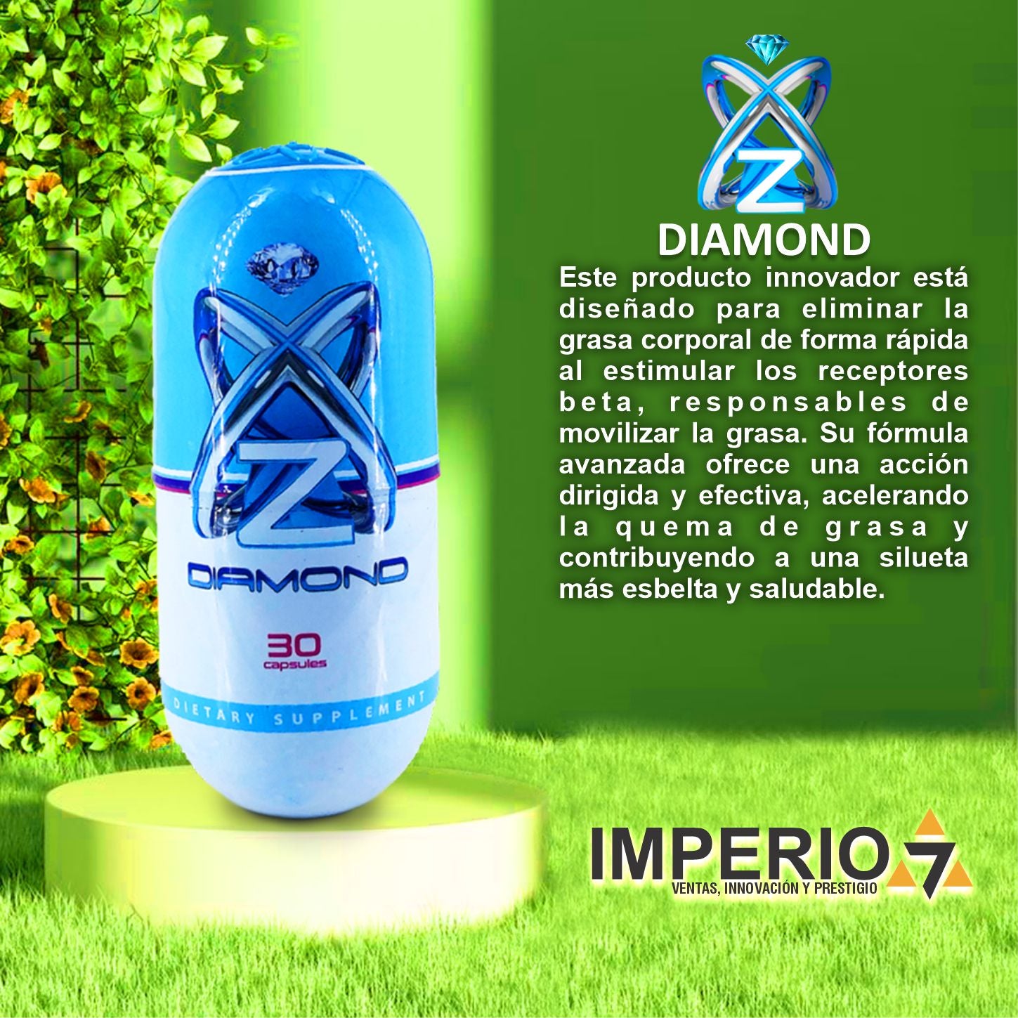 Adelgazante ZX Azul Dietario - Imperio7
