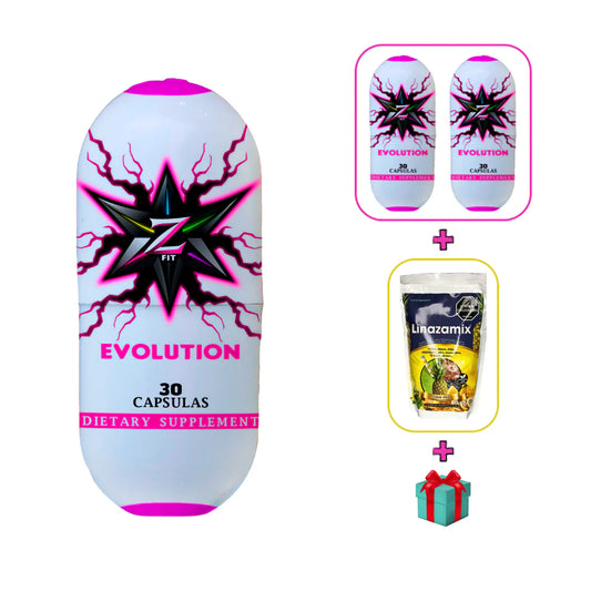 ZFIT EVOLUCION 