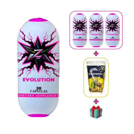 ZFIT EVOLUCION 